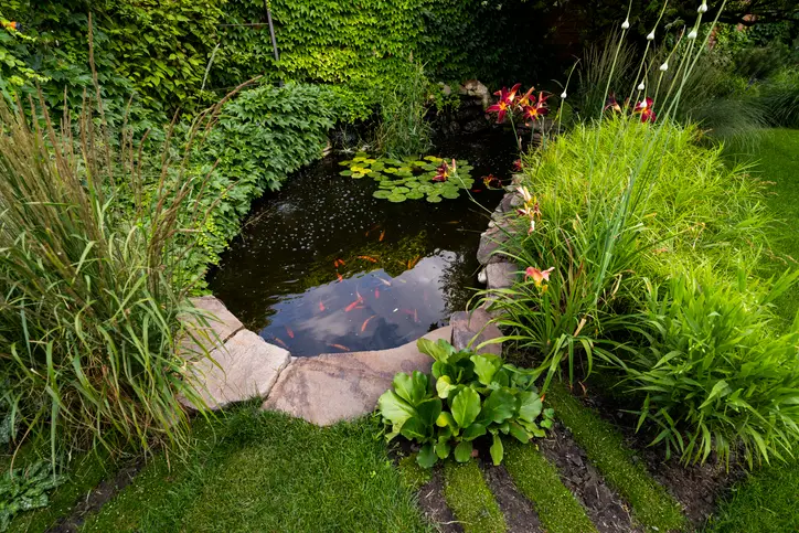 Wasseranlagenbau Teich Bachlauf Wasserspiele Garten Teichbau